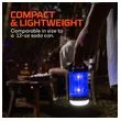 MINI Z-BUG LANTERN